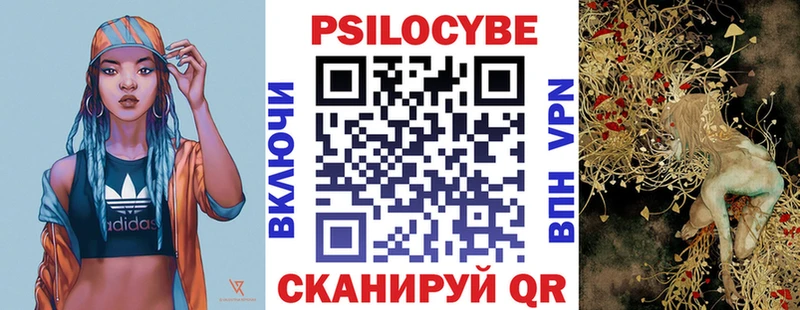 Галлюциногенные грибы Psilocybe  Волчанск 